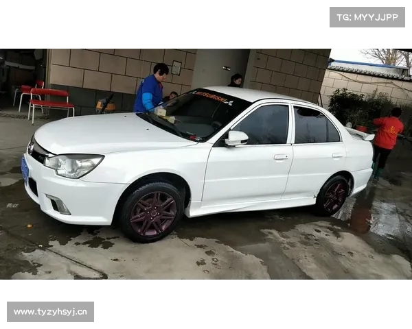 东南菱悦改装美国芒果通用型直排